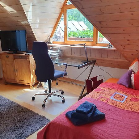 Appartement Cornelia Kolpak-Krieger à Pegnitz Extérieur photo