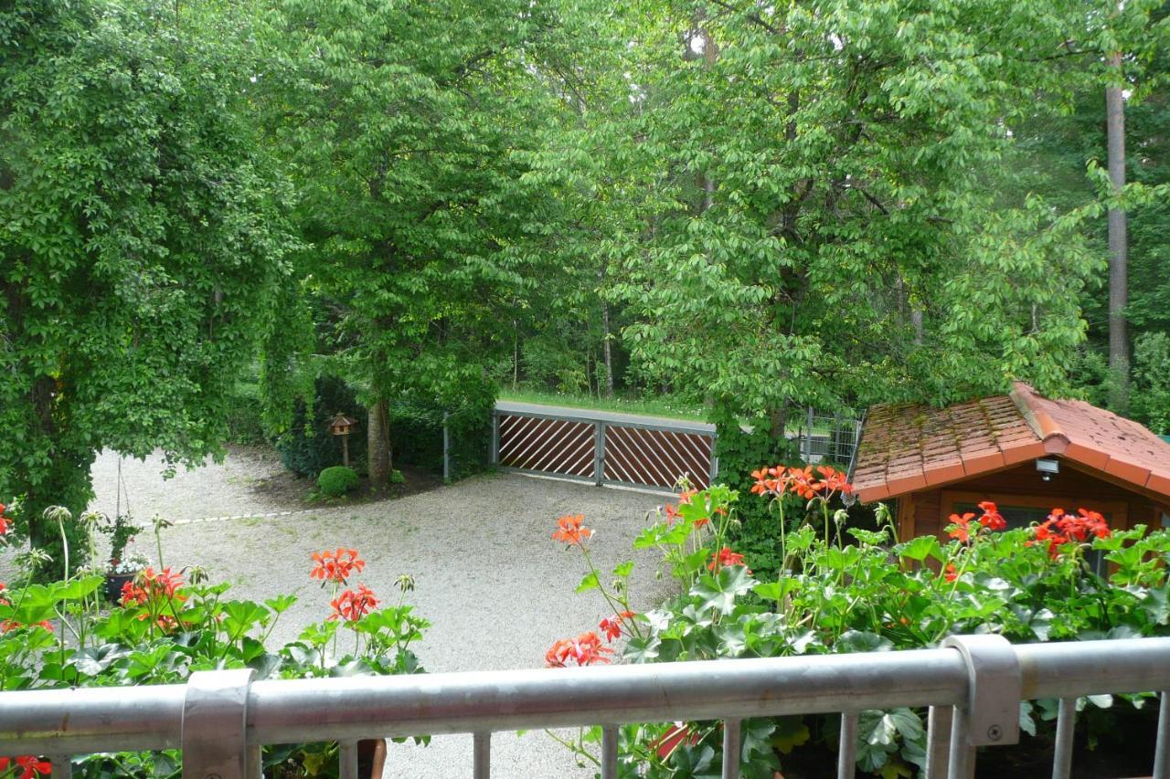 Appartement Cornelia Kolpak-Krieger à Pegnitz Extérieur photo